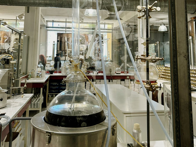 ニースからバスで30分！エズ村魅力ご紹介🦅⛰️🌹