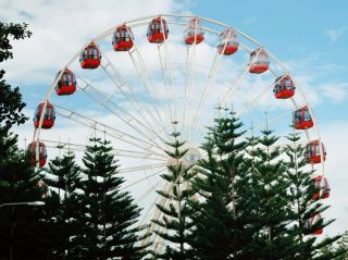 Fremantle: Harbour Charm and High-Altitude Views
