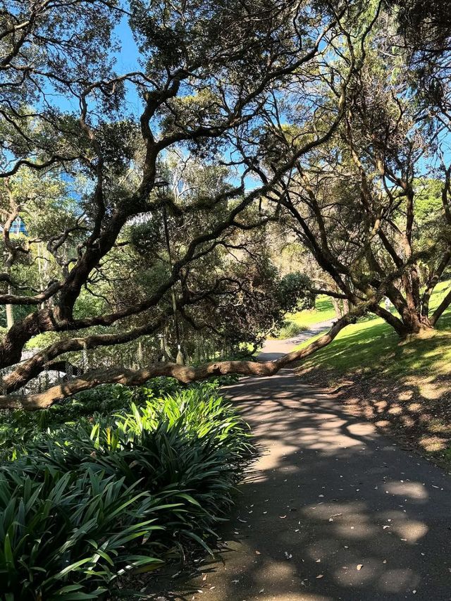 A Peaceful Green Escape in the Heart of Auckland