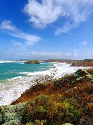 The Bay of Islands: A Gem of New Zealand's Sea and History