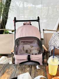 ร้านอาหารวิวดีโซนแม่วาง