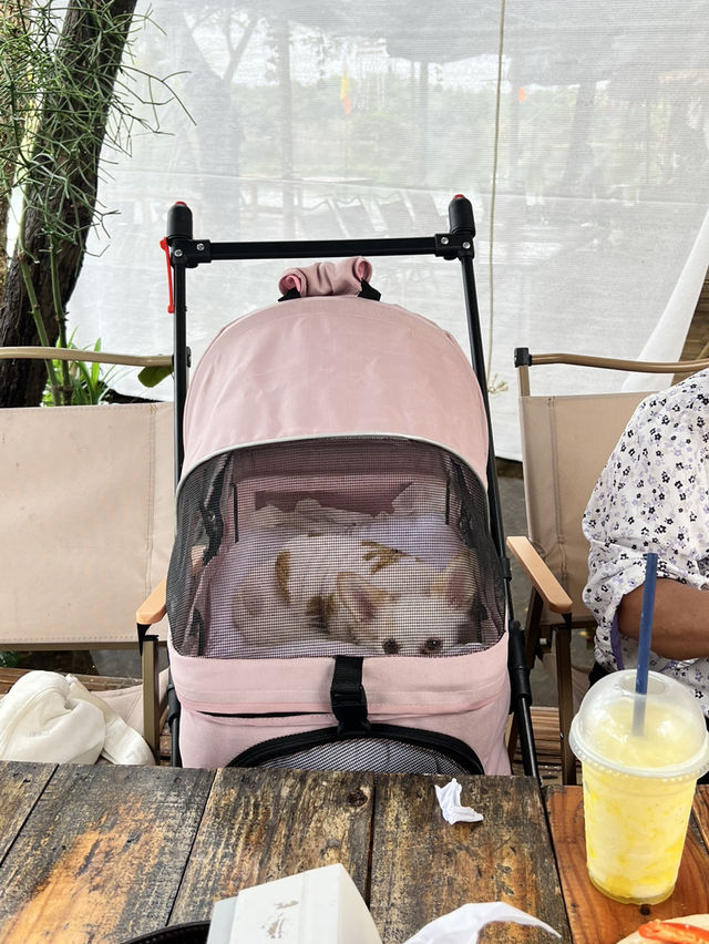 ร้านอาหารวิวดีโซนแม่วาง ร้านอาหารวิวดีโซนแม่วาง