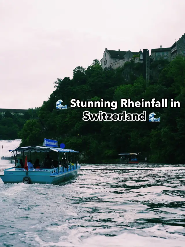 🌊 Stunning Rheinfall in Switzerland 🌊