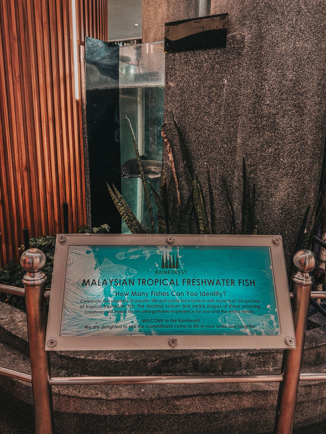 A Heartwarming Encounter with Nature – Feed the Fish @ 1 Utama Wildlife Conservation Efforts A Heartwarming Encounter with Nature – Feed the Fish @ 1 Utama Wildlife Conservation Efforts