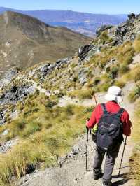 【クイーンズタウン】絶景！Ben Lomond登山＆Skylineゴンドラ体験