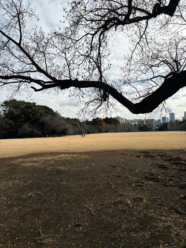 Shinjuku Gyoen National Garden