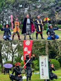 🇯🇵名古屋✈️江戶時代的輝煌與威嚴「名古屋城」