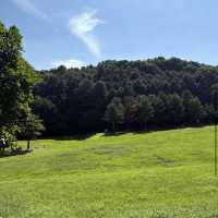 Sangdang Sanseong Fortress 상당산성