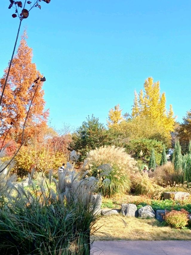 가을이면 특히 더 부드러운 분위기 가을이면 특히 더 부드러운 분위기