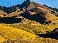 Where Heaven Meets the Hills of Home