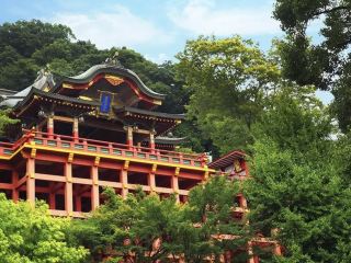 Roaming the Vermilion Shrine World