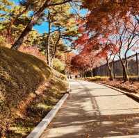 Historical Immersion on Presidential Trails