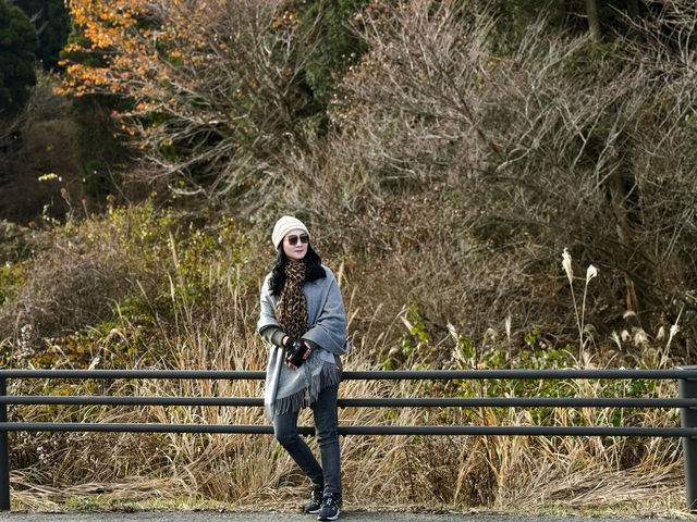 🍂秋日阿蘇山:米塚的金色光影、草千里的高原風、火山的震撼能量 🍂秋日阿蘇山:米塚的金色光影、草千里的高原風、火山的震撼能量