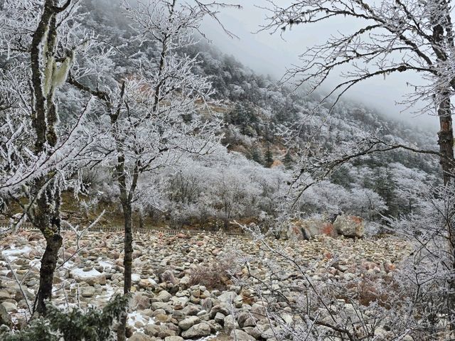 มู่เกอชั่ว (Mugecuo)