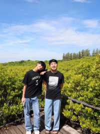 ทุ่งโปรงทอง 🌳