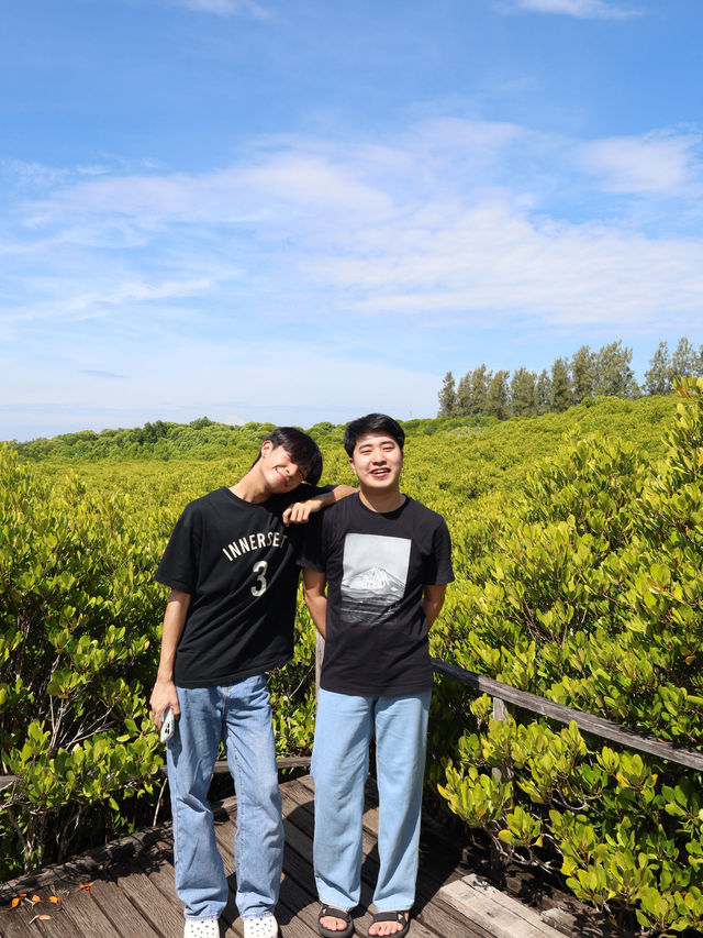 ทุ่งโปรงทอง 🌳 ทุ่งโปรงทอง 🌳