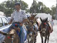 聖托里尼:世界最美日落&夢中的藍白愛情海