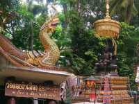 วัดดอยงำเมือง.สถานที่บรรจุพระอัฐิพ่อขุนเม็งราย