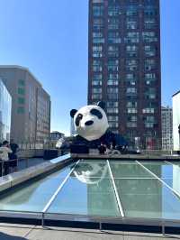 จุดถ่ายรูป “หมีแพนด้าเกาะตึก IFS” ที่เฉิงตู