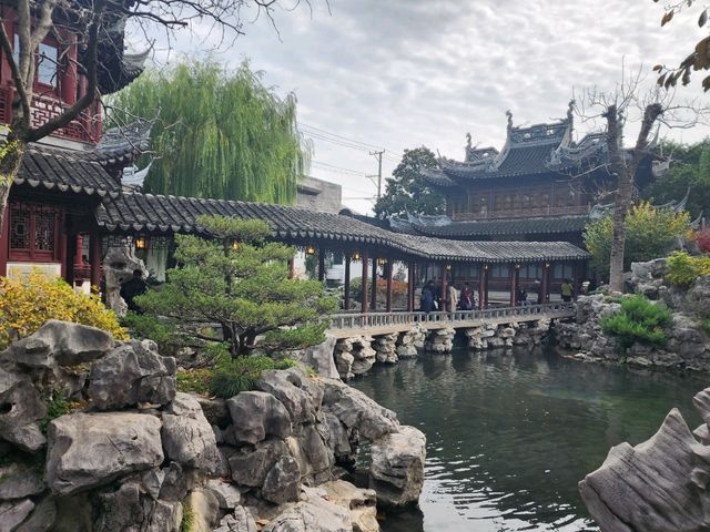 Garden Serenity🧭 Garden Serenity🧭