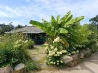 【韓國🇰🇷•慶州】崔氏古宅