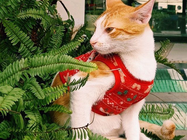 🎰 เปิดวาร์ป 'Newport City' มะนิลา! ฟีลลาสเวกัส