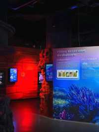 SEA LIFE  ย้อนวัยเด็กที่อควาเรียมกลางกรุง 🐠🪼🪸