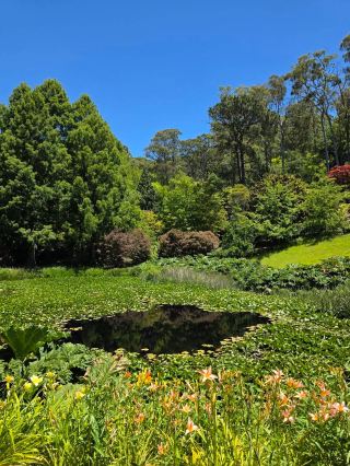Mount Lofty Botanical Gardens
