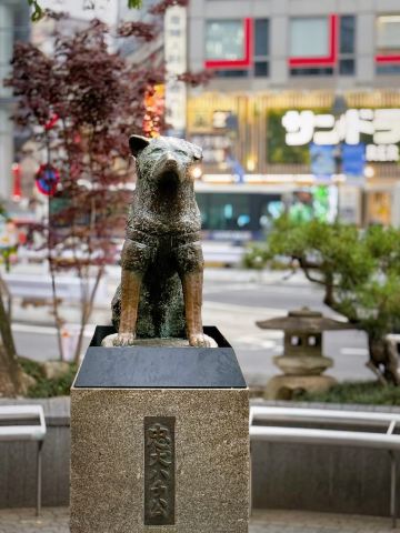 Hachiko, the loyal dog of Shibuya | That dog waited ten years
