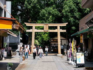 Immersed in Green Reflections: A Virtual Walk Through Kumamoto Suizenji Garden
