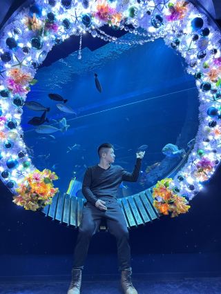 沖縄4泊5日、レンタカーなしでの楽しみ方と費用は？。