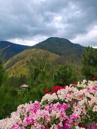 5 days itinerary - Samosir Island and Toba Lake