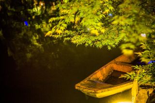 人間奔赴山河,深夜邂逅星河,望遠鏡裡的夜色,是旅途中最靜美、最治愈的隱藏風景。當白日的喧囂落幕,步履的匆忙停歇,萬物歸於寂靜安然,此時的夜空,褪去了所有人間浮華,只留純粹的深邃與浪漫。若以肉眼觀望,終究只能窺得冰山一角,無法領略夜色的全貌之美,而望遠鏡彌補了這份遺憾,帶我們跨越空間距離,近距離擁抱璀璨星海。微調焦距,星光逐漸清晰,深空愈發遼闊,原本單調的墨色天幕,瞬間變得層次豐富、光影絕倫,每一顆星子都在盡情綻放屬於自己的光芒。獨自沉醉在鏡中的夜色風景,遠離人際的紛爭、生活的壓力、無謂的攀比,心靈變得澄澈通透,心境變得淡然從容。這場獨特的旅途體驗,讓我們在靜夜中沉淀自我、治愈身心,拉高眼界、拓寬格局,收獲滿心安寧與前行力量。
#新年好去處2026#travel2026