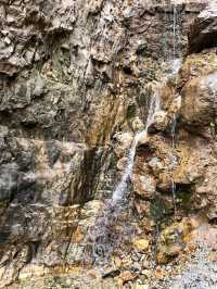🌲 Yunmeng Mountain Royal Forest Park | A Breath of Nature