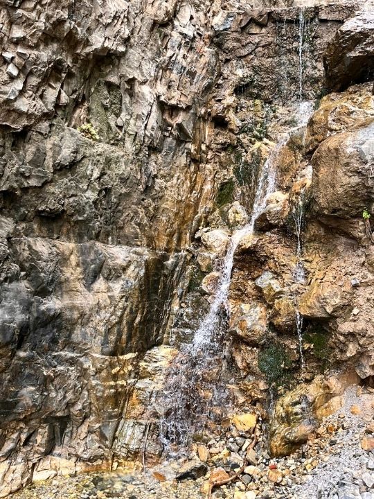 🌲 Yunmeng Mountain Royal Forest Park | A Breath of Nature