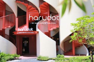 Harudot by Nana Coffee Roasters, Bang Khae Branch