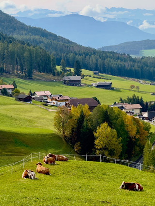 🇮🇹🏔️ Dolomites — The Magic of the Italian Alps ✨