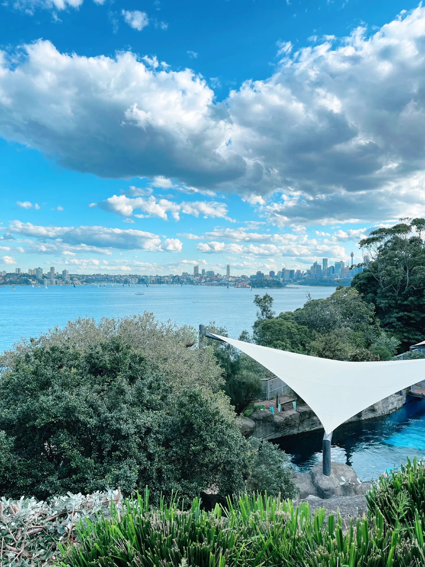 TARONGA ZOO — MY REPEAT DESTINATION IN SYDNEY! ❤️