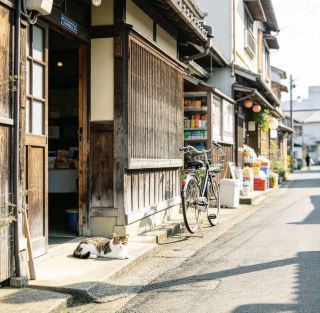 🌊 Onomichi | Onomichi is a charming small seaside town in Hiroshima.
