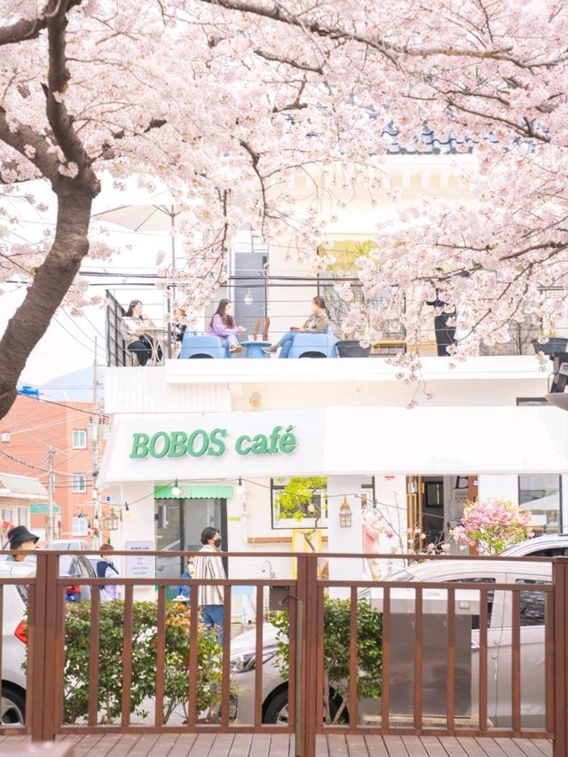 로망가득한 로망스다리