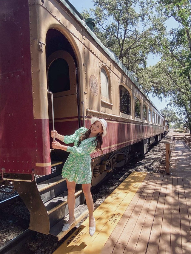 【ナパでワイン列車】美食と絶景の列車旅で至福の時を過ごそう！