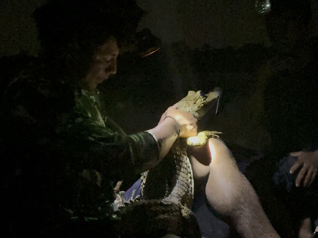馬瑙斯亞馬遜叢林3天2晚探險旅遊攻略 🏕️