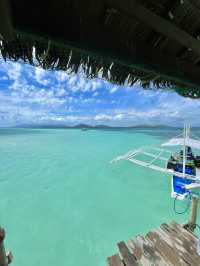 Starfish Paradise in Balabac 