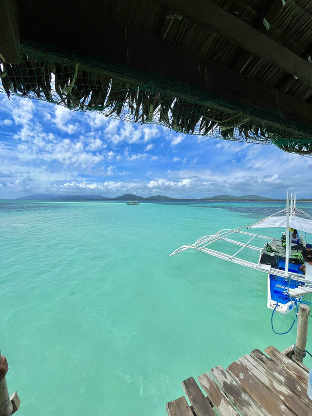 Starfish Paradise in Balabac 