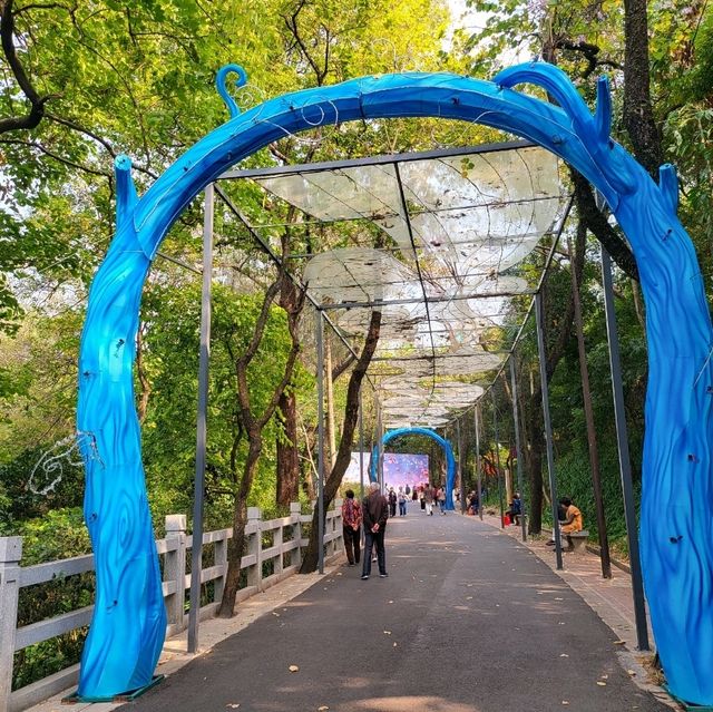Yuexiu park 🏞 a place for relaxing and meditation❤️