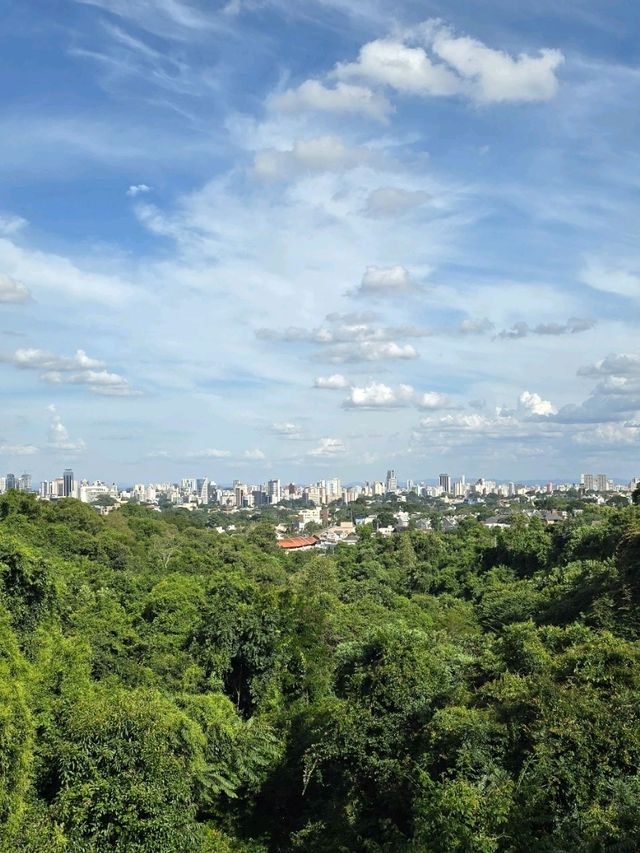 Brazilian Beauty 🏞