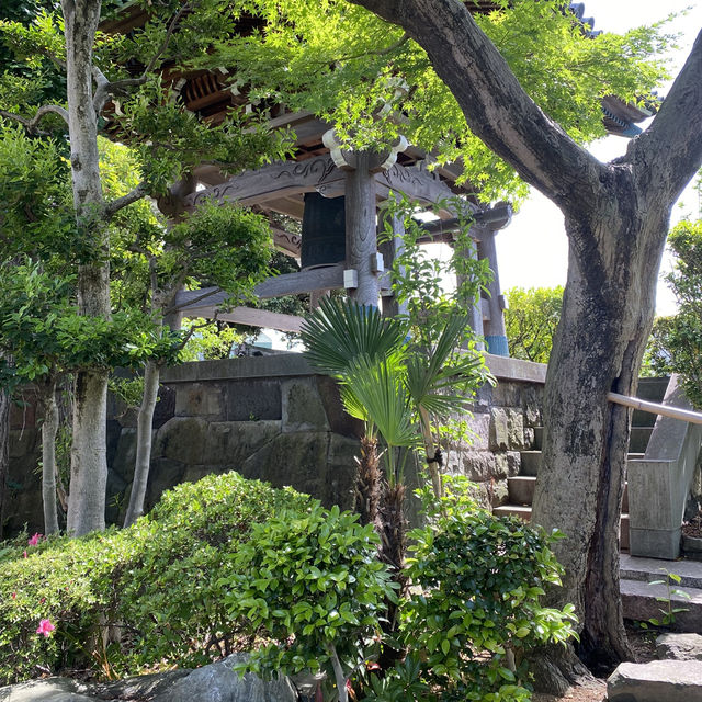 【東京都品川🇯🇵 養玉院如来寺】江戸有数の名作☺️五智如来