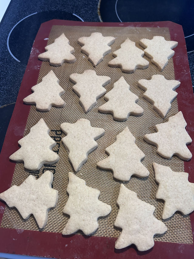 🇨🇦カナダでの冬の過ごし方☃️