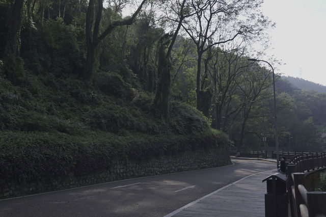 Southern Hot Spring Park (南温泉公园) — Tranquil Escape in Chongqing