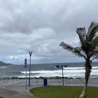 Cover the Magical capital of Gran Canaria